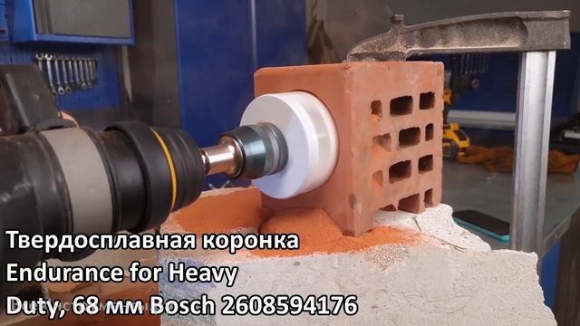 Тестируем коронки по дереву!