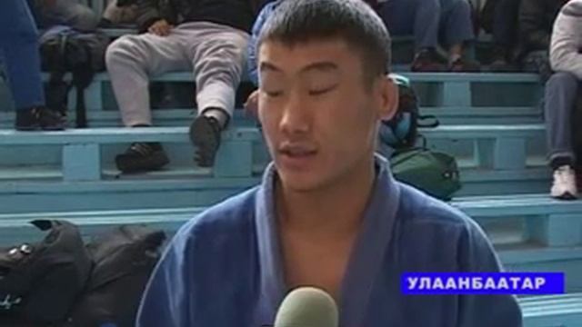 Джиу джитсу