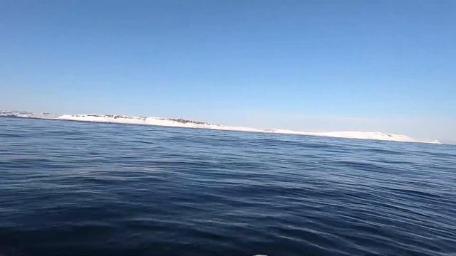 Рыбалка в Баренцевом море 02.05.2020 смотреть онлайн