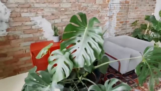 Фотостудия BASE. Зал PING. Новогодний декор 2022. смотреть онлайн