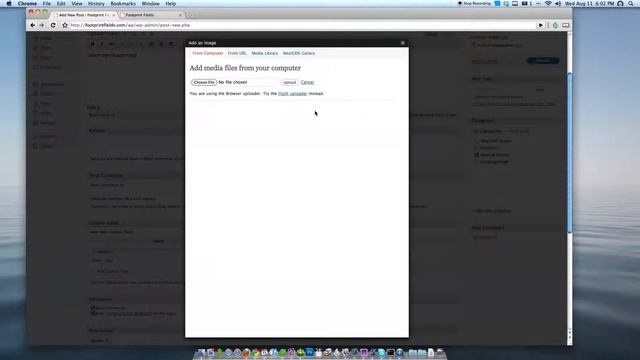 testeste смотреть онлайн