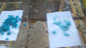 пробую красит щебень акриловой краской