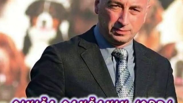 International Dog Show CACIB OBRENOVAC (Serbia), September 1st 2019 смотреть онлайн