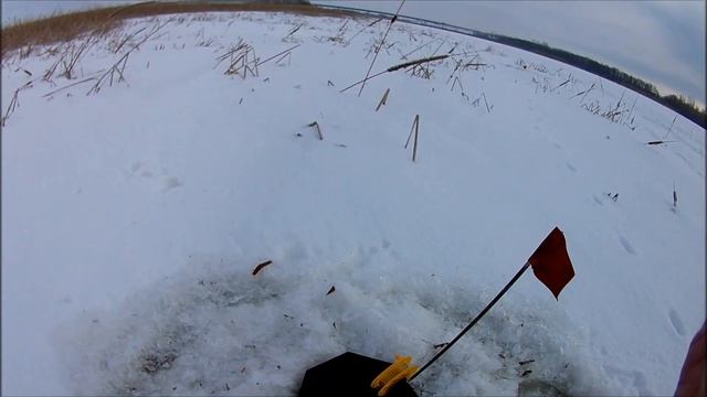 Зимняя рыбалка в Саратовской области. 16.02.2020г Ловля щуки на жерлици. смотреть онлайн