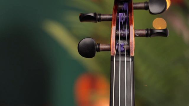 Fiddlerman Soloist Violin Outfit from Fiddlershop смотреть онлайн