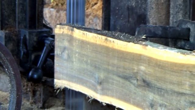 Tumbangnya kayu jati terbesar di hutan lokal sulawesi seharga 20 juta pesanan bos korsel.woodworkin смотреть онлайн