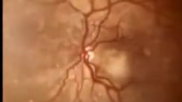 Очень важный ролик смотреть онлайн