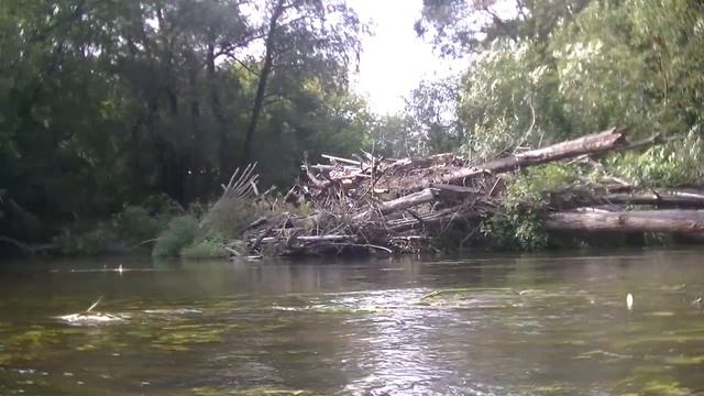 Bestway TRECK X 2 SET лодка Сплав по Дубне Продолжение предыдущей. От Вербилок до Вотри 29 08 2021