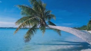 Это африка Группа КРУГ Африка.