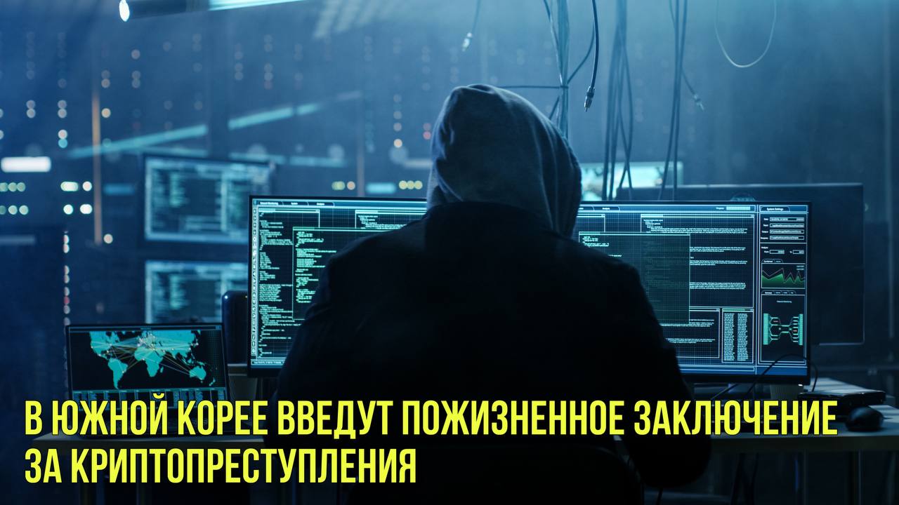 В Южной Корее введут пожизненное заключение за криптопреступления | Новости Первого смотреть онлайн