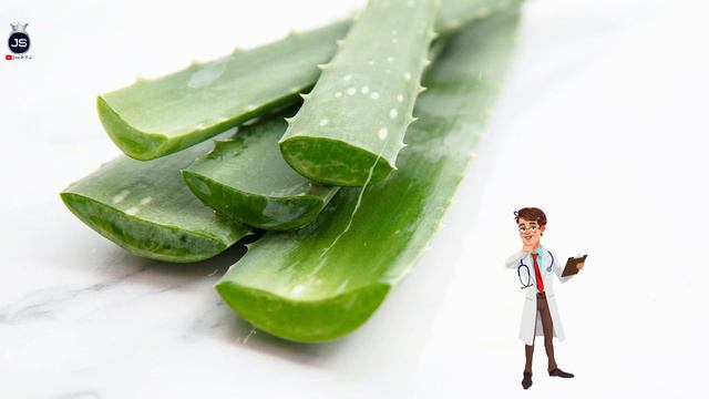 Bima Që I Ka Habitur Të Gjithë, Ja 5 Arsye Pse Duhet Të Përdorni Aloe Vera