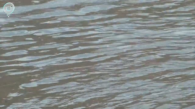 В Новосибирске затопило дорогу на улице Колхидской смотреть онлайн