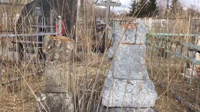 Деревья-памятники два вида материала смотреть онлайн