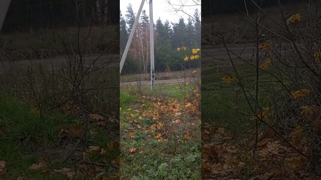 Заливка отмостки. смотреть онлайн