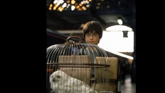 Memento Of Hedwig, We Love You! смотреть онлайн