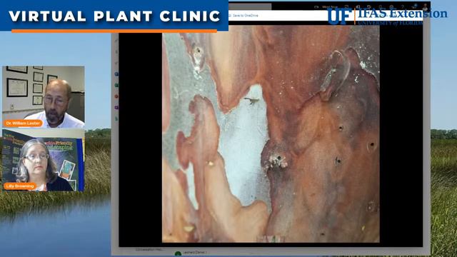 The Virtual Plant Clinic With Dr. Bill August 26, 2021 смотреть онлайн