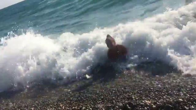 На море волной накрыло смотреть онлайн