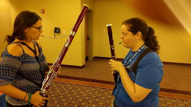 Marriage of Figaro on octave bassoon смотреть онлайн