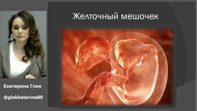 Урок 1. Устройство женского организма. смотреть онлайн