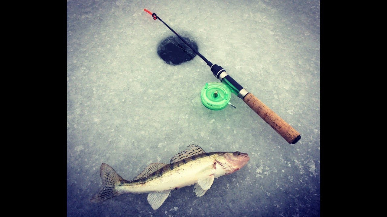 Первый лёд на реке Бердь ловим судака смотреть онлайн