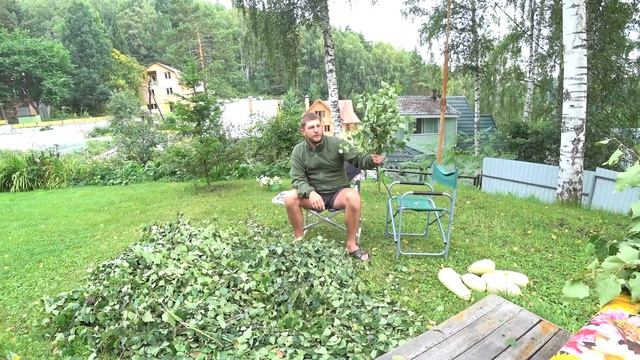 Как правильно заготовить березовый веник для бани смотреть онлайн