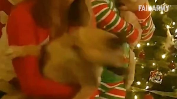 Funny Family Fails   FailArmy 2021