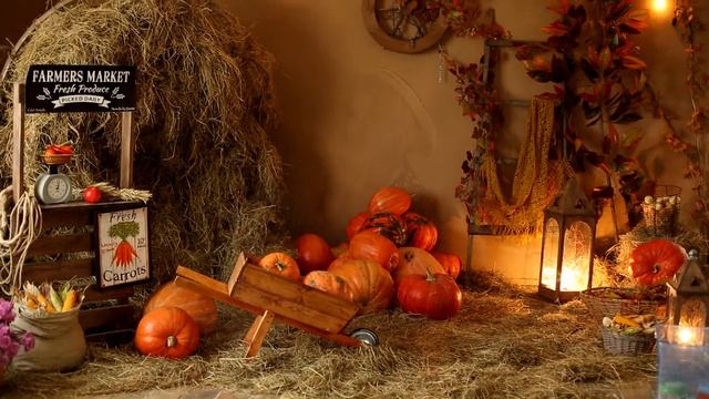 Осень в фотостудии смотреть онлайн