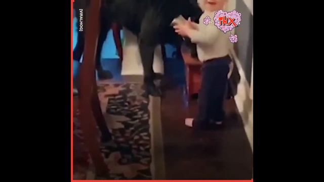Смех до слёз ПРИКОЛЫ С ДЕТЬМИ И ЖИВОТНЫМИ ЛУЧШАЯ ПОДБОРКА 2021 смотреть онлайн
