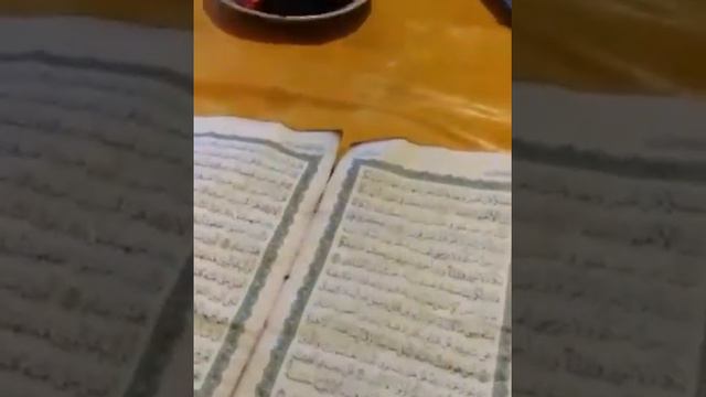 Все вещи сгорел кроме Курана!☝☝ смотреть онлайн