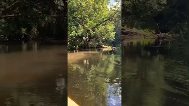 Путешествие на каяке. Владимирская область. смотреть онлайн