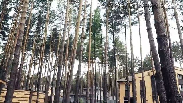 Падающее дерево смотреть онлайн