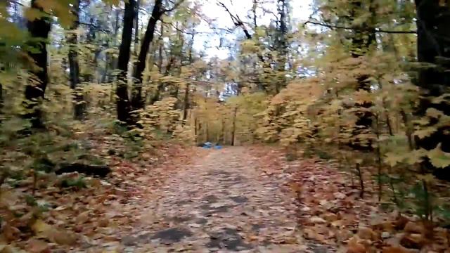 Нижний Новгород 2020 Урочище Слуда бронзовая осень смотреть онлайн