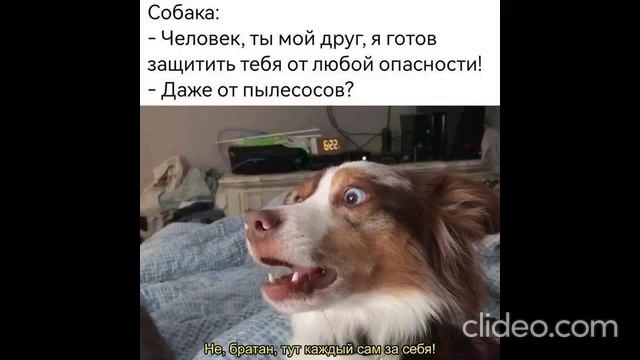 после завтрака 28.06 смотреть онлайн