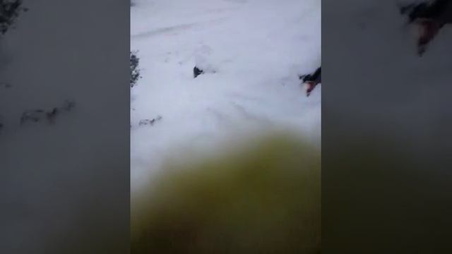 Я не щнаю чем заняться(14) смотреть онлайн