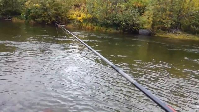 Ловля Карпа