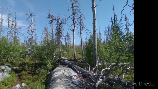 Карелия и я! смотреть онлайн