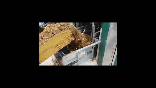 Купить овец Дорпер в России | Дорперы 2022 покупка-продажа племенных овец баранов породы Дорпер смотреть онлайн