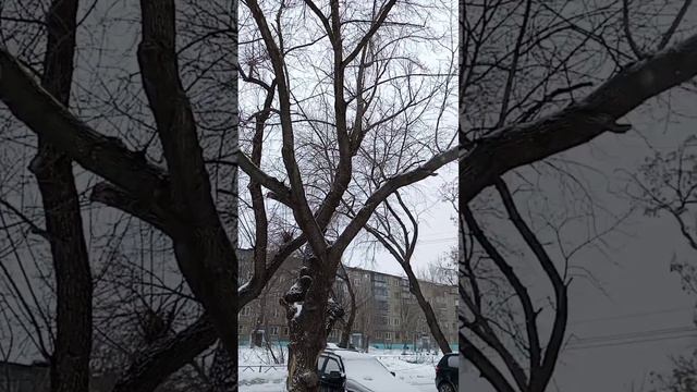 Любимый маршрут. г. Челябинск. Февраль 2023год. смотреть онлайн