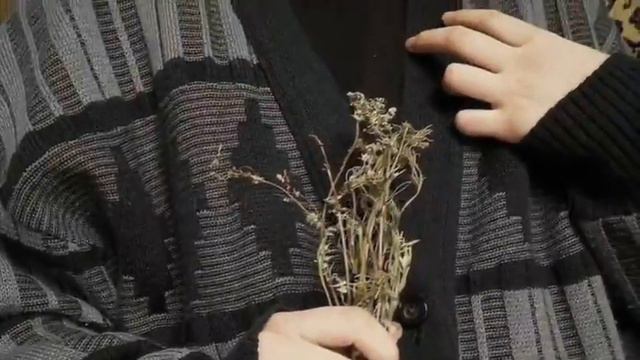 ты не знаешь как любить потому что тебя не любили смотреть онлайн