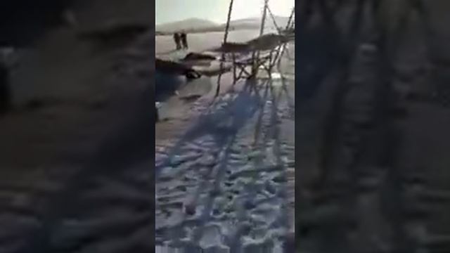 Вот так зимняя рыбалка. Во Владивостоке рыбаки утопили более 30 автомобилей одновременно смотреть онлайн