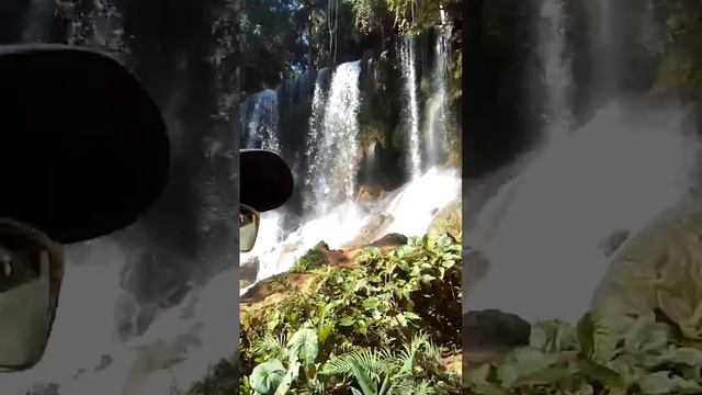 PARQUE NACIONAL CUBANO -EL NICHO смотреть онлайн