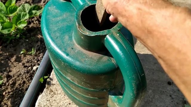 И снова хрущ в клубнике. смотреть онлайн