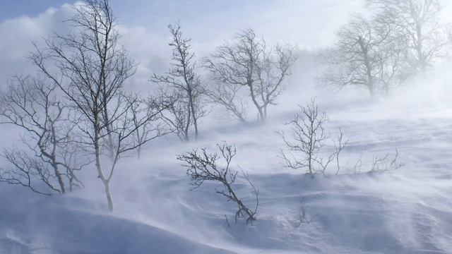 "Зима недаром злится". Ф.Тютчев смотреть онлайн