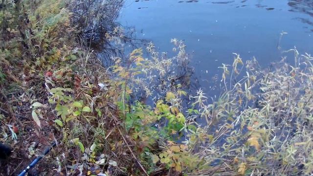 Трофейная рыбалка в тайге на щуку часть 2 смотреть онлайн