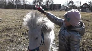 Видео  как ухаживать за лошадью.