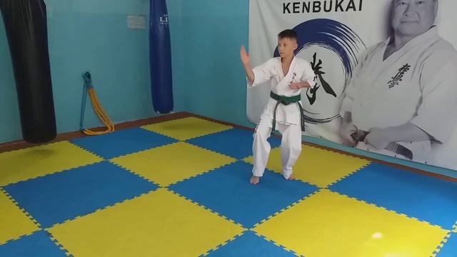 Техника 7 кю (Киокушин Кенбукай Украина) смотреть онлайн