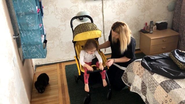 Коляска BABYHIT AMBER смотреть онлайн