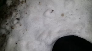 ремни,цепи противоскольжения-самоделки !!)) работают !!)