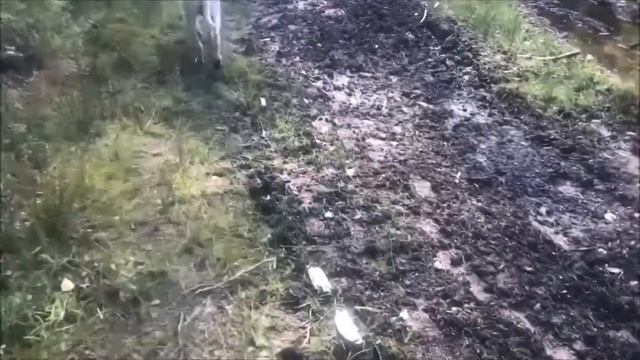 Разговорное видео в Санкт-Петербурге ♥ Асланчик вырос ♥ смотреть онлайн