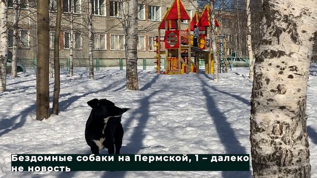 Не кормить и не дразнить 23.03.2021 смотреть онлайн